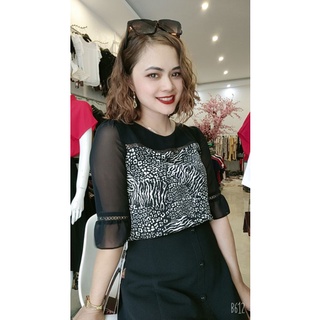 SƠ MI VẰN GDA