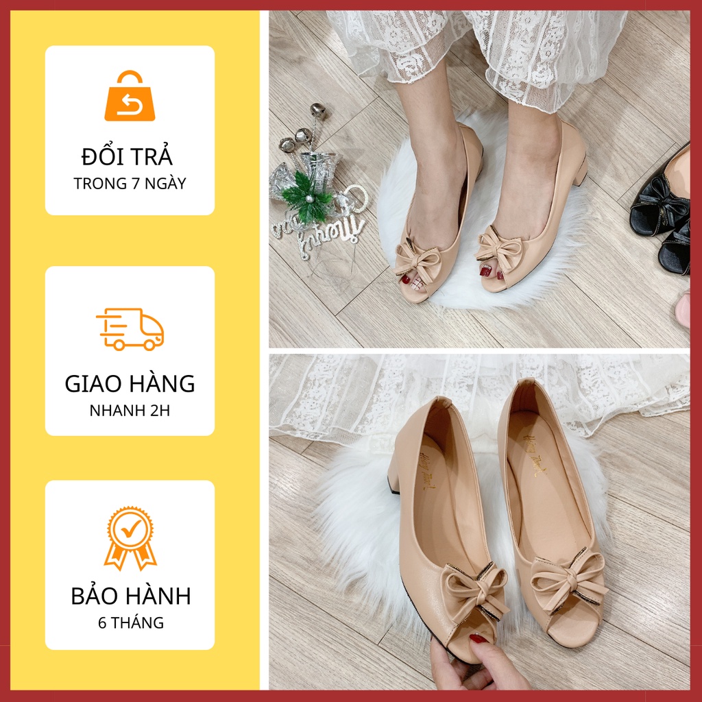 Giày Cao Gót Đế Vuông Nữ Giày Búp Bê Big Size 3 Phân Hoàng Thanh G1