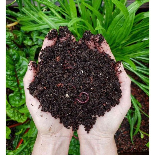 nấm Tricho Men ủ phân hữu cơ Compost chứa vi sinh vật có lợi tố đất lợi cây gói 1kg