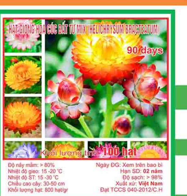 Hạt giống hoa cúc bất tử mix