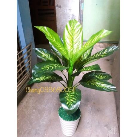 Cây Ngân Hà giả 1 thân 1,2m