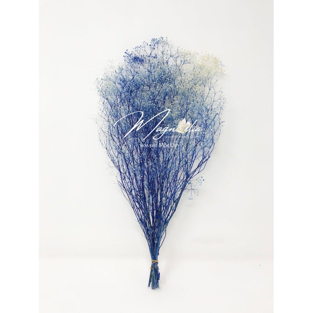 Trang trí tiệc cưới ❤️FREESHIP❤️ Mini Baby's Breath - Sky Blue
