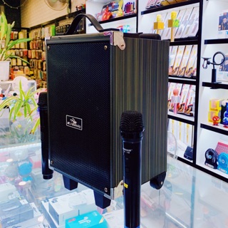 Loa Kéo Karaoke Bluetooth Kingwe Q8