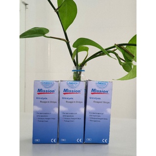 Que Thử Phân Tích Nước Tiểu Mission Loại 10 thông số