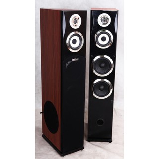 Loa cây karaoke CaliPhate H925( 1 đôi)