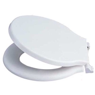 Lắp bồn cầu loại thường