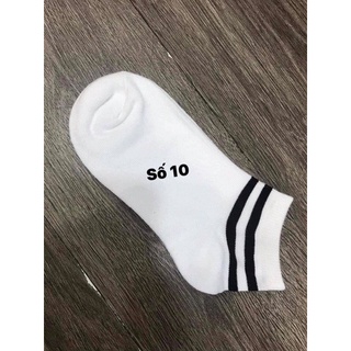 Combo 5 đôi Tất Nữ Kẻ Sọc Cổ Ngắn, phong cách trẻ trung năng động, chất liệu mềm mại