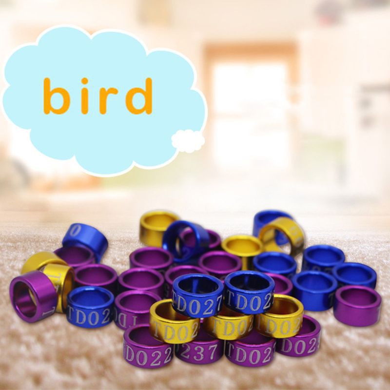 Bộ 50 Vòng Đeo Chân Chim Nhiều Màu Sắc Dành Cho Chim Bồ Câu/Gà Con