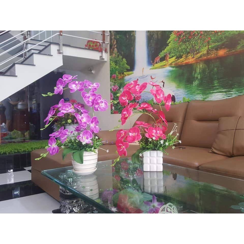 HOA GIẢ-hoa trang trí 🍅FREESHIP🍅Giảm 10K Khi Nhập  Bộ nguyên liệu lan móng rồng