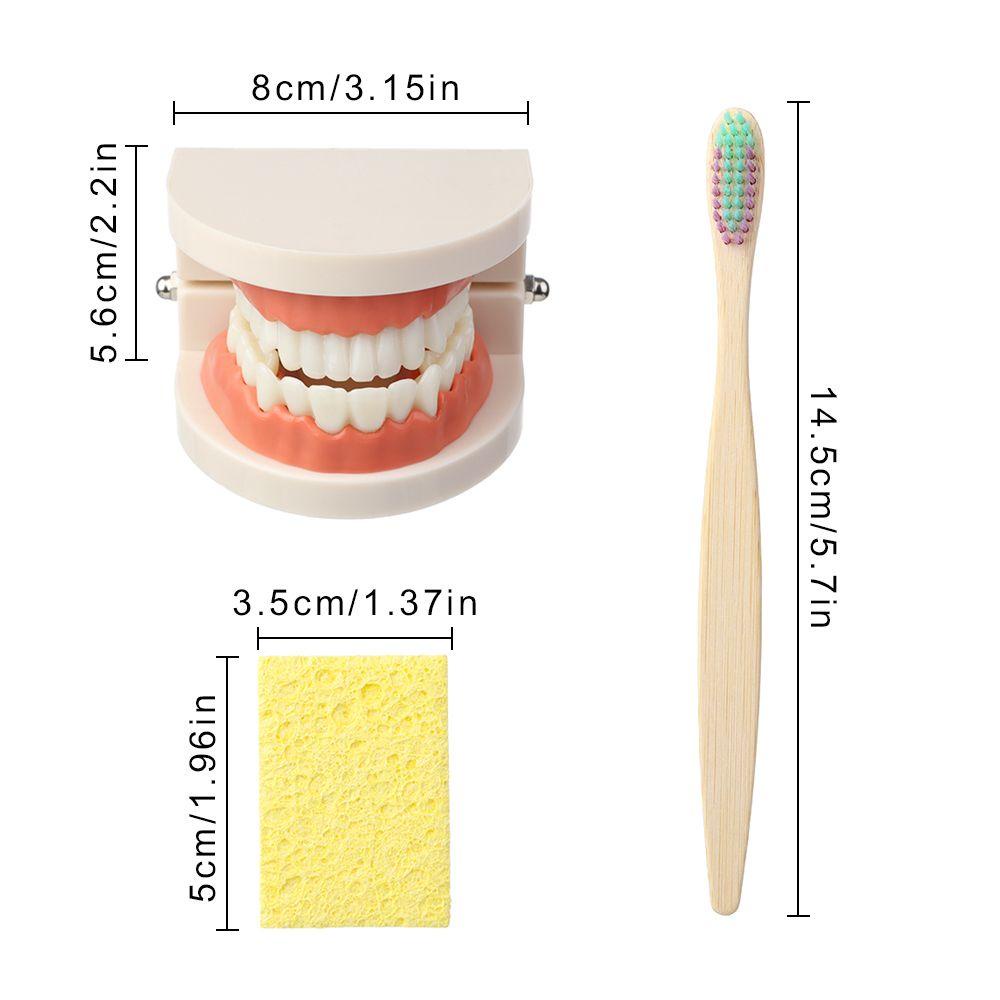 Layor1 Bộ Bàn Chải Đánh Răng Giúp Bé Học Theo Phương Pháp Montessori