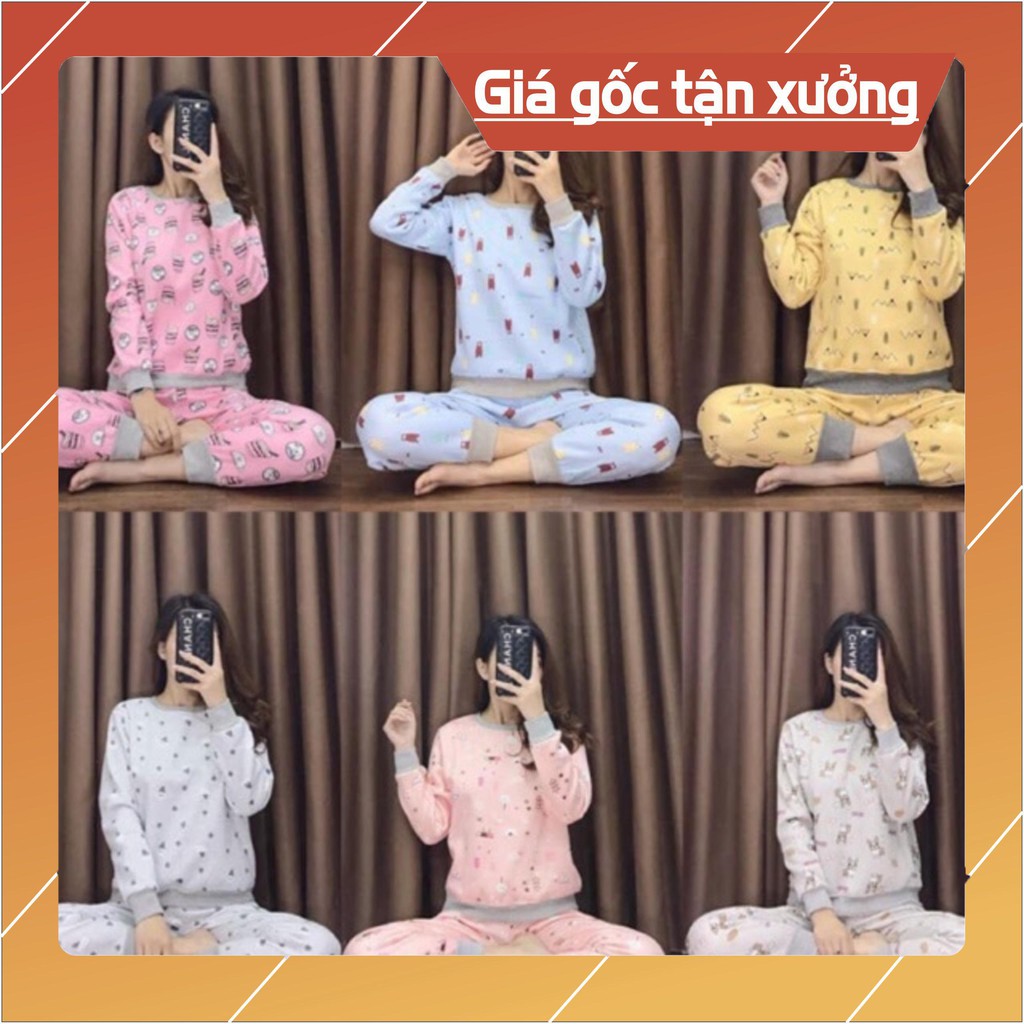 (RẺ VÔ ĐỊCH )⚡️BỘ NỈ BÔNG LOẠI 1 DÀY DẶN (MẪU MỚI THAY ĐỔI LIÊN TỤC)