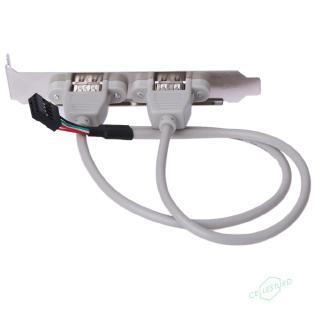 CS 2 Port Rear Panel Bracket Motherboard Cable USB 2.0 Connector Cable Adapter