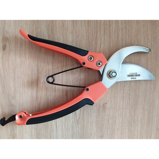 Kéo cắt cành cây