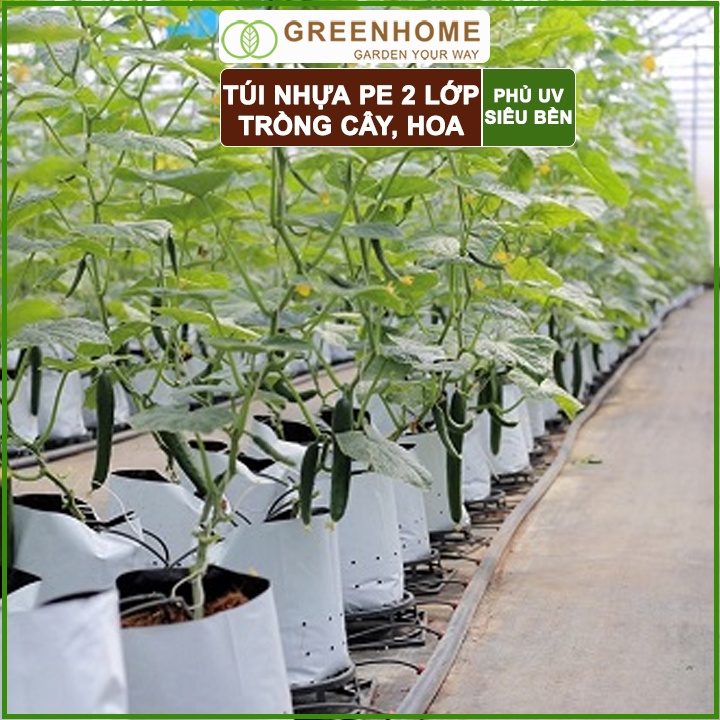 Bộ 5 Túi PE trồng cây, 17x33cm, 2 lớp, chống UV tiện lợi, độ bền 1,5 năm, trồng rau, hoa, dâu tây |Greenhome