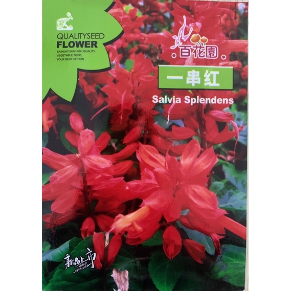 Hạt giống Hoa X.ác Ph.áo Đỏ nhập khẩu nguyên bao bì - 50 Hạt - Tỷ lệ nảy mầm 90%