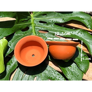 Chậu đất nung kiểu nồi trồng sen đá