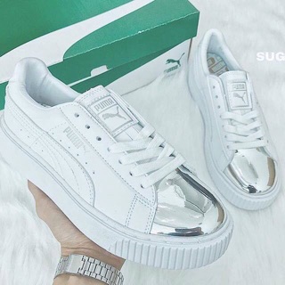 Puma puma.