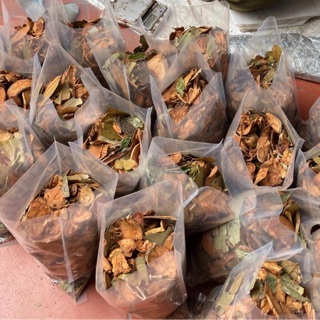 LÁ XÔNG-TẮM-GỘI SAU SINH NGƯỜI DAO ĐỎ 1kG