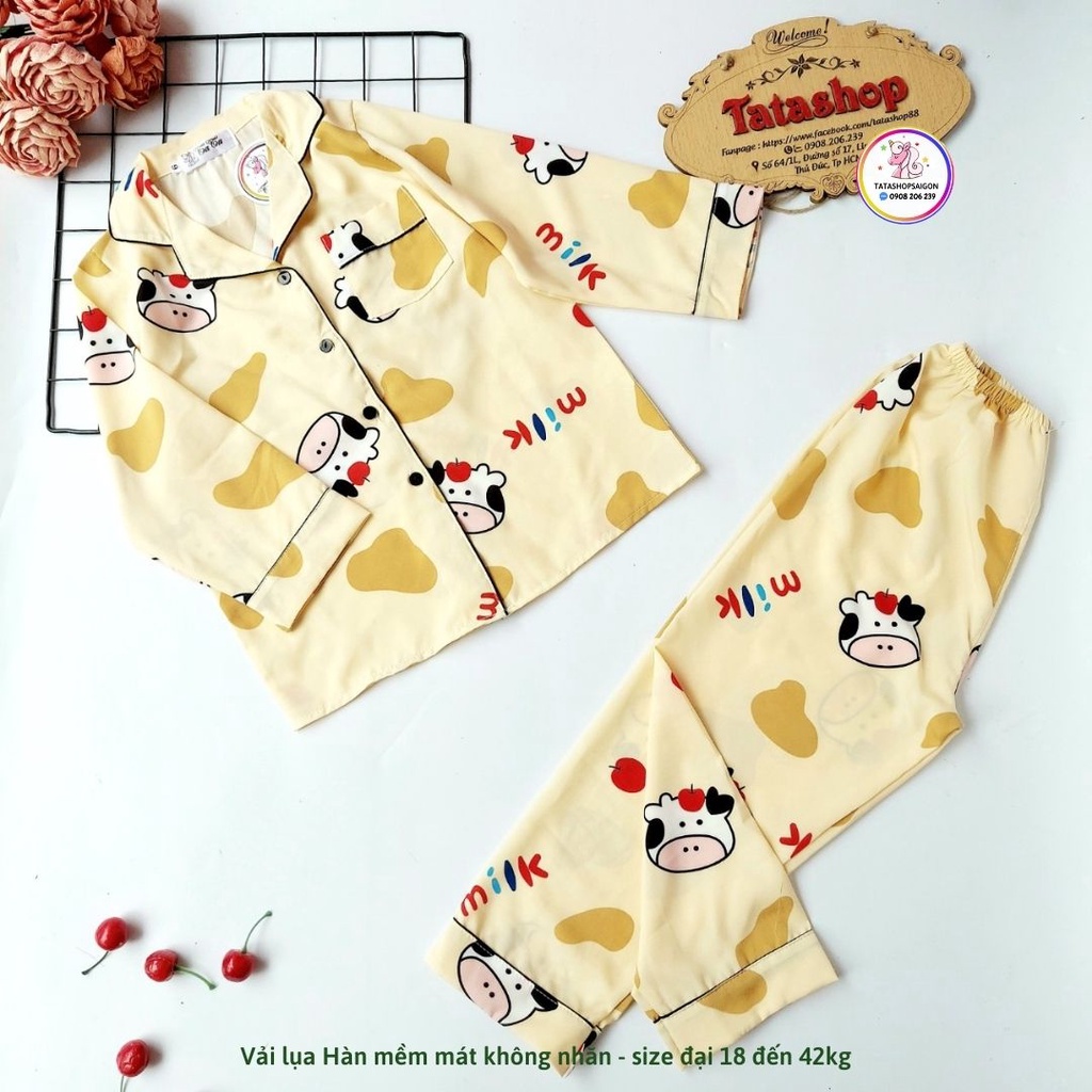 Bộ pijama tay dài thu đông cho bé trai bé gái size đại 18 đến 40kg