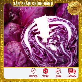Hạt giống Bắp Cải Tím F1