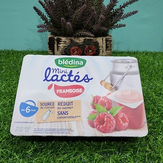 Sữa chua Bledina, Pháp cho bé 6m+