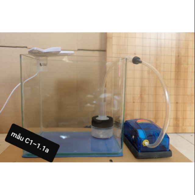 Bể cá ,Bể đúc 2 cạnh uốn siêu nhỏ để bàn , mẫu C1 và C2