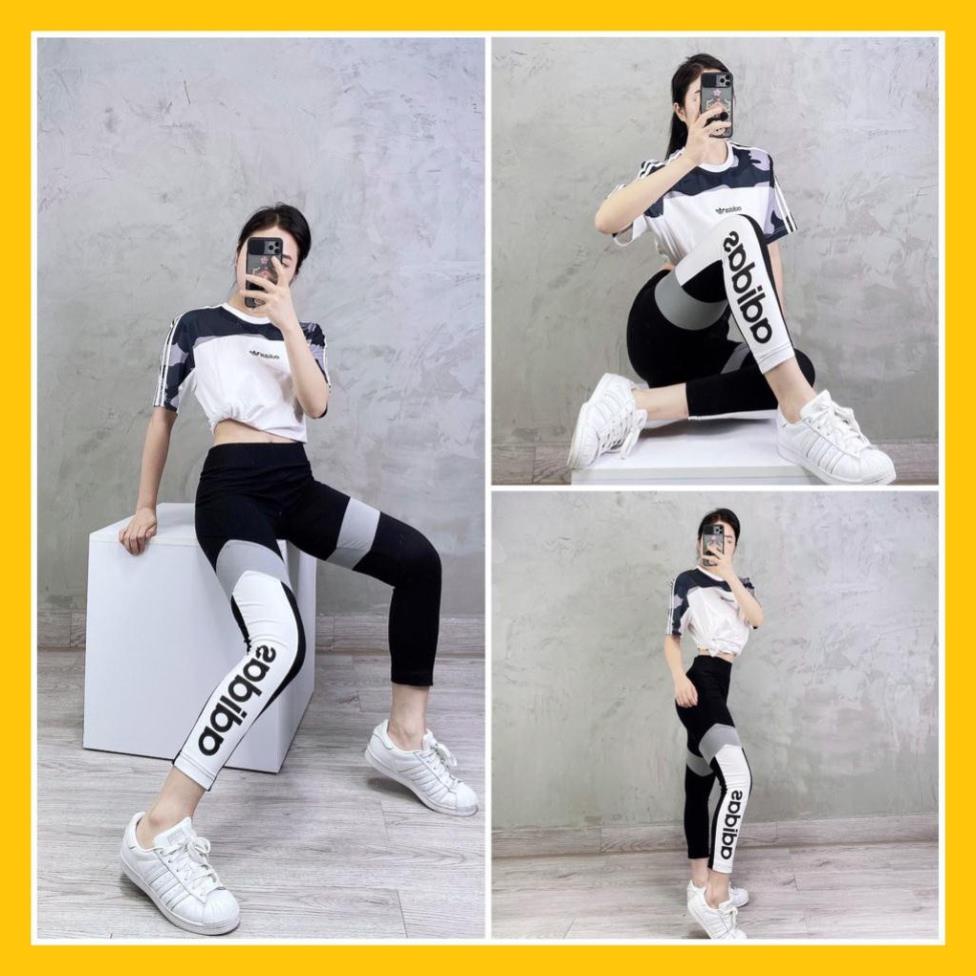 Quần Tập Gym Nữ [Legging] V Grey Line Phối Viền Độc Lạ [ĐỒ TẬP]