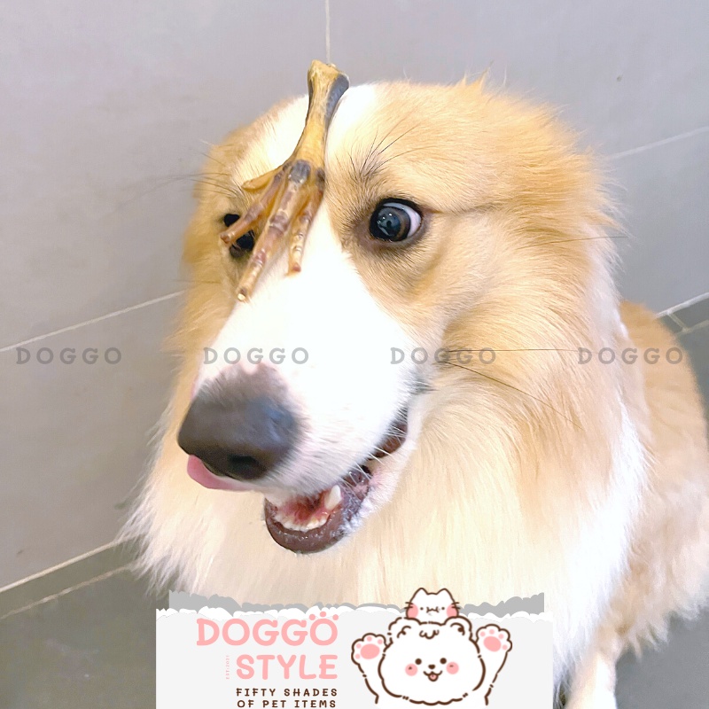 Treat Bánh Thưởng Cho Chó Chân Gà Sấy Khô DOGGO Homemade Không Chất Bảo Quản 100G Thức Ăn Cho Chó Thú Cưng
