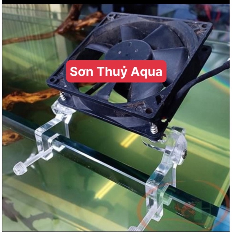 Chân quạt mica cho hồ thuỷ sinh