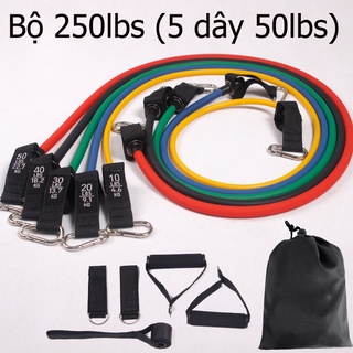Bộ Dây Ngũ Sắc Tập Gym Đàn Hồi Cao Cấp 11 món