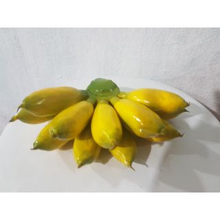 Nải chuối giả loại xịn