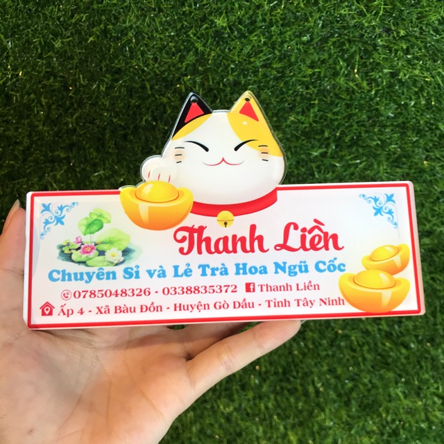 Bảng mèo thần tài may mắn