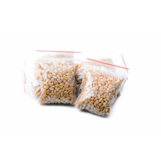 HẠT GIỐNG CỎ MÈO