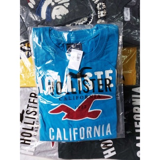 Áo thun Hollister Gray new [ 100% cotton bông xịn]