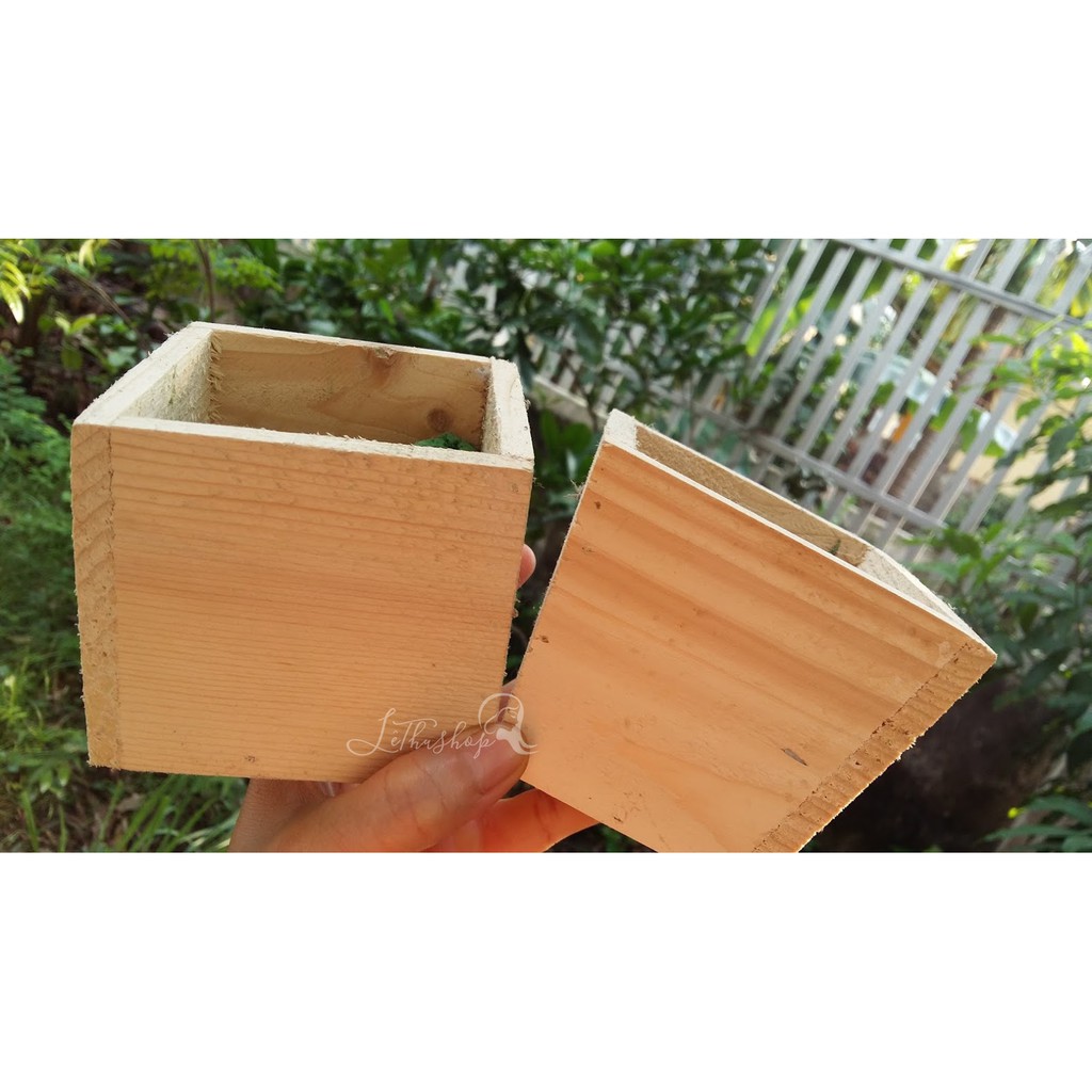 CHẬU GỖ 8-10-12 cm (vuông/xéo)