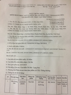 Rau tiến vua 1kg