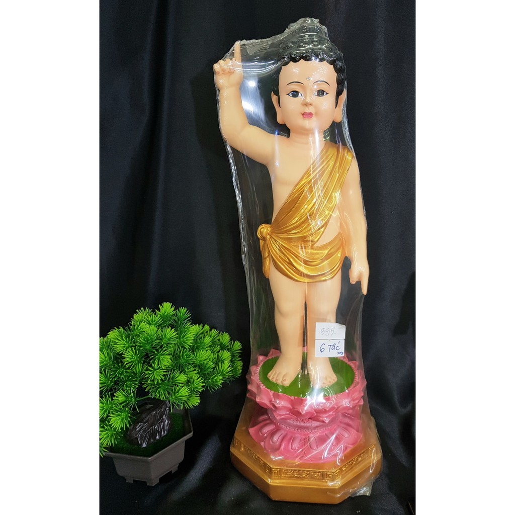 Tượng Đản Sanh 60cm T1