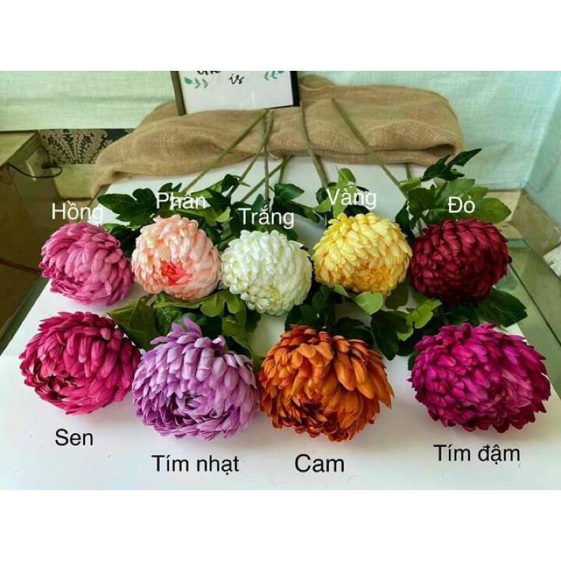 Cành Cúc Đại Đóa Cao 75cm. Hoa Giả Cao Cấp, Trang Trí Nhà Cửa, Phòng Khách Cực Kỳ Sang Trọng Và Nổi Bật