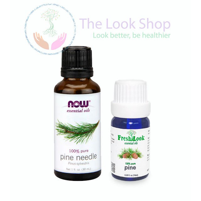 Tinh dầu Thông Pine Essential Oil