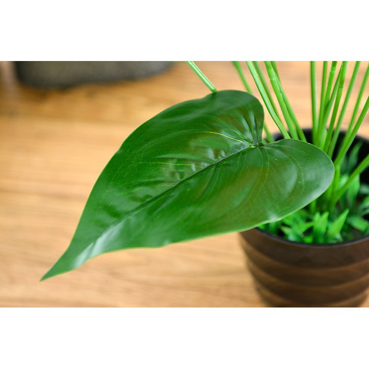 CÂY HOA HỒNG MÔN YẾN SIZE LỚN cao 50cm - 5 HOA ĐỎ - Trang trí