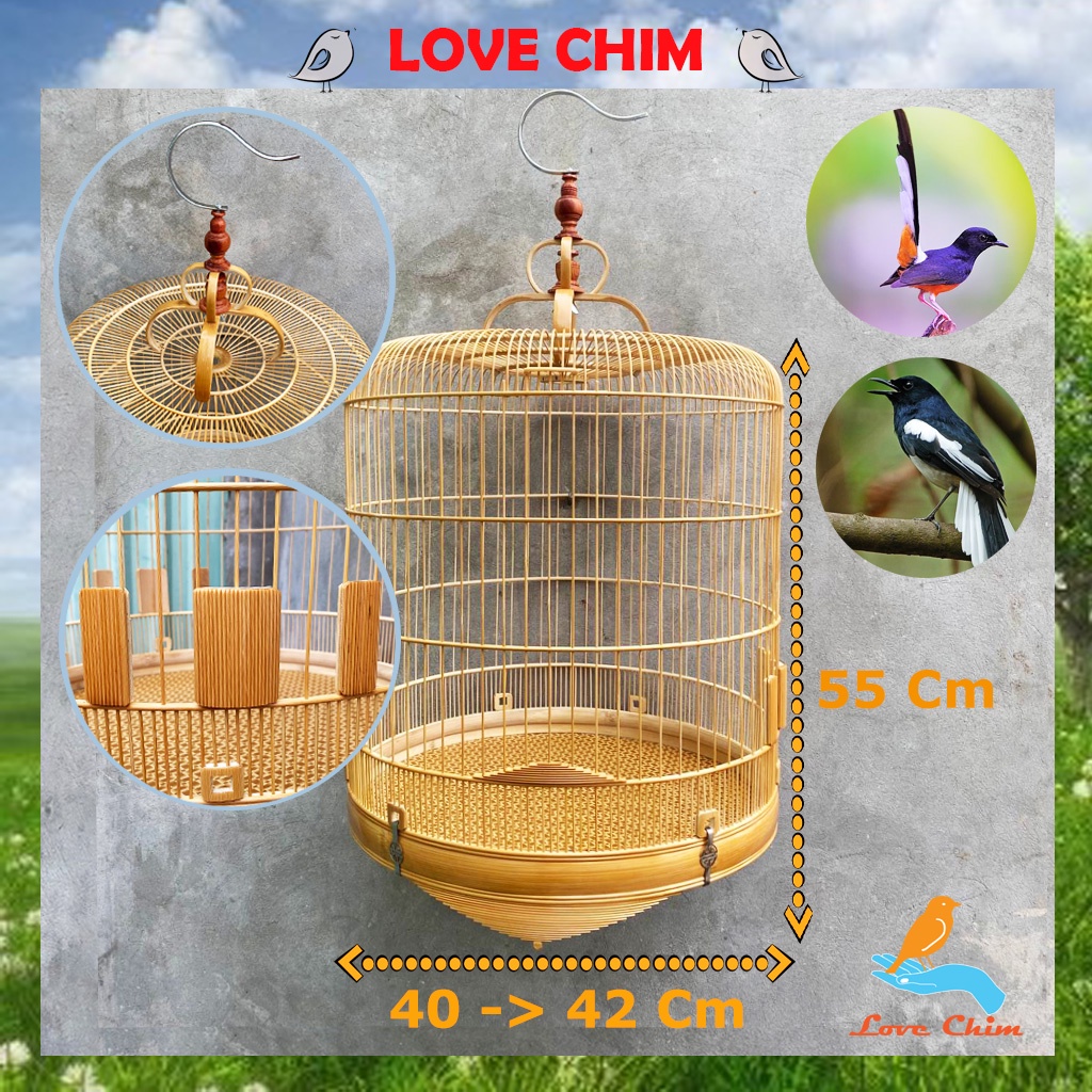 Lồng chim, Lồng Chích Chòe dũi chỉ - magpie robin cage, the big bird cage, white-rumped shama cage LOVECHIM