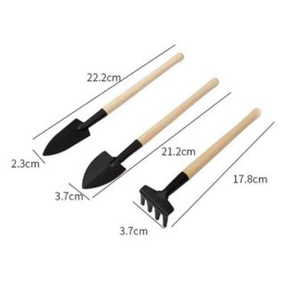 Bộ 3 dụng cụ làm vườn mini