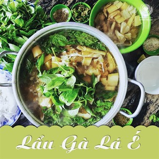 2GR - HẠT GIỐNG LÁ É TRẮNG/ RAU THƠM SẢ
