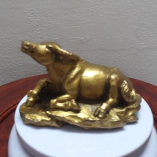 Trâu thư thái  tượng trâu đồng vàng nguyên chất. Tượng Trâu phong thuỷ