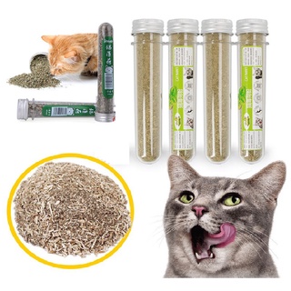 Cỏ bạc hà cho mèo phê pha xả stress ( Cỏ mèo Catnip)