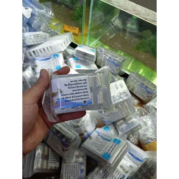 Aquarium-1 đặc trị tép chết lai rai