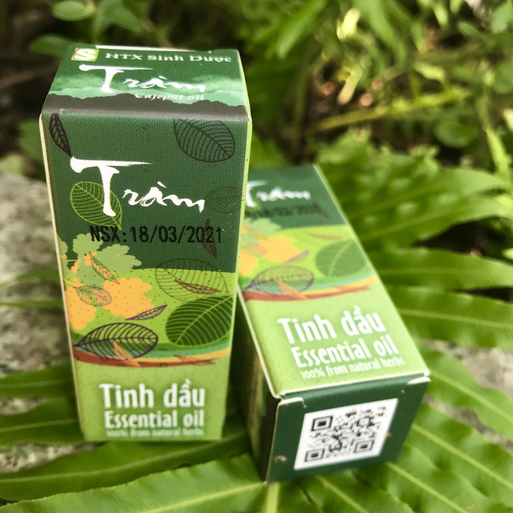 Tinh dầu Tràm nguyên chất từ Hợp Tác Xã Sinh Dược - 5ml