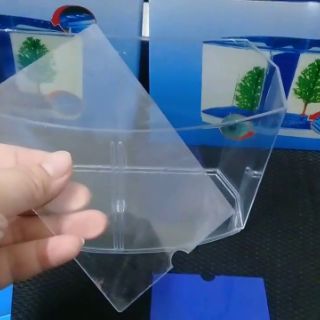 Bể Cá Mini