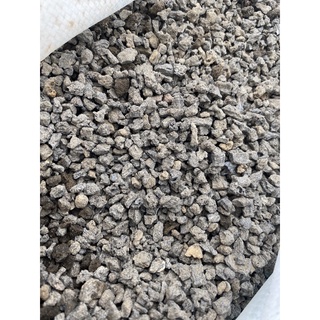 đá lava nham thạch đen trồng sen đá xương rồng cây kiểng 12k/500g