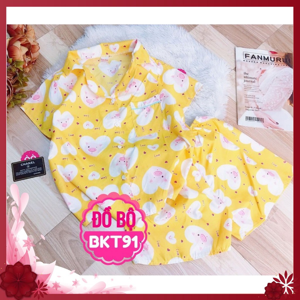 Đồ Bộ PIJAMA CON HEO Đi Biển Mặc Nhà Mặc Ngủ Dưới 55kg ! FREE SHIP | BigBuy360 - bigbuy360.vn